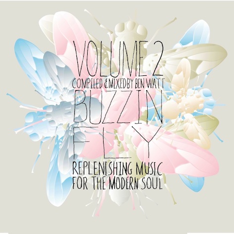 Buzzin' Fly Volume 2 (DJ Mix)