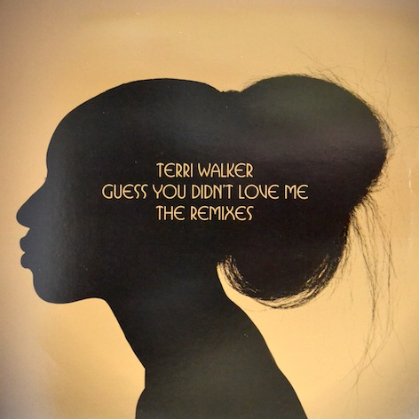 Terri Walker / 'Guess You Didn't Love Me' (Ben Watt Remix)